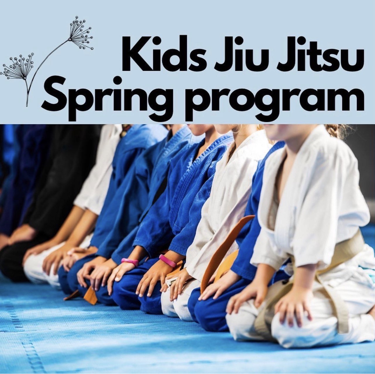 Kids Spring Program